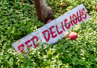 red delicious wooden sign on a farm
