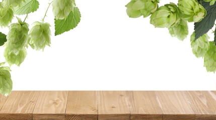 Branches of fresh green hops and empty wooden surface on white background, space for text