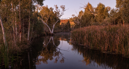 early morning mist, spring fed pool, Kolgan Creek