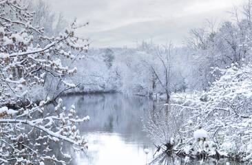 Frozen river and snowy trees