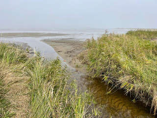 Vladivostok, a section of the river flowing into the sea in the bay of Akhlestysheva on Russkiy Island in autumn