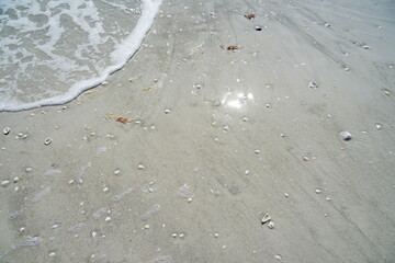 Clear water of Sanibel island in Florida, USA