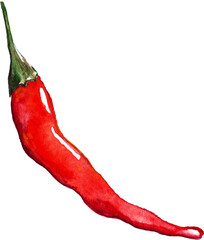 Watercolor red hot chili chilli spicy pepper isolated art - 535110849