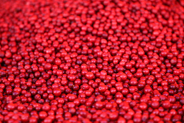 Beautiful red lingonberries in closeup
