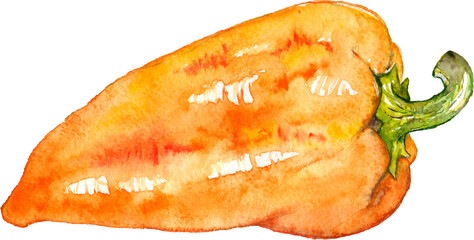 Watercolor orange yellow sweet bell Bulgarian pepper vegetable isolated art - 535110885