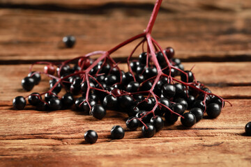 Black elderberries (Sambucus) on wooden table, closeup