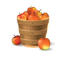 Apples bucket illustration