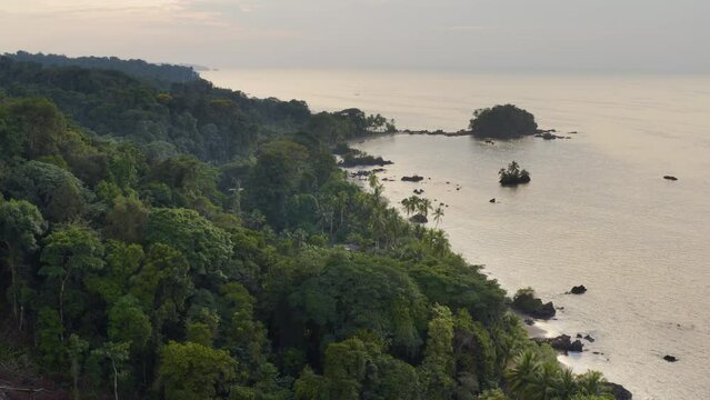 Pacific Coast With Rainforest