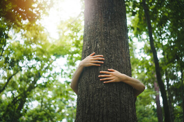 young woman tree hugging  in the forest  in concept of people love nature and  tree to protect from...