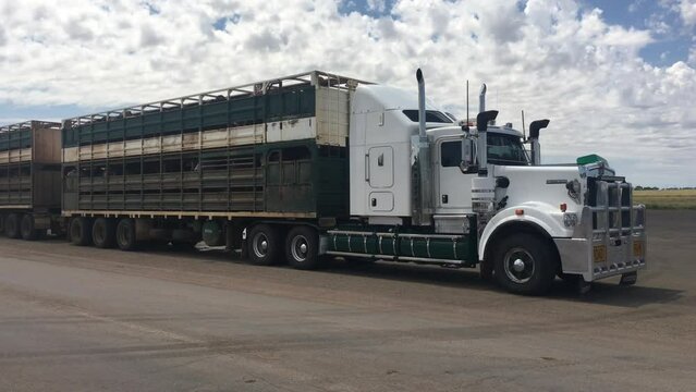 Large cattle trailer road train.