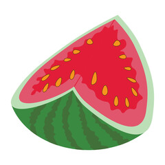 Red watermelon fruit vector illustration