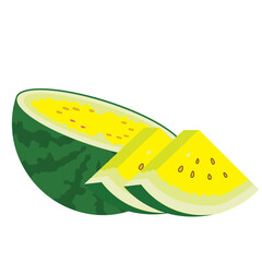 Yellow watermelon fruit vector illustration