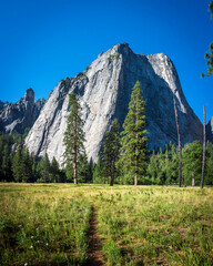 Early summer morning walk in Yosemite National Park, California