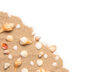 Sand and sea shells beach theme background isolated png image