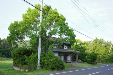 古い一軒家と緑の木