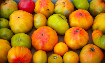 close up on colorful tomato as food background 