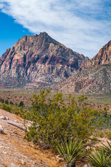Red Rock Canyon on a Summer Day