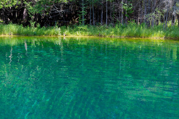 Trees reflected on lake