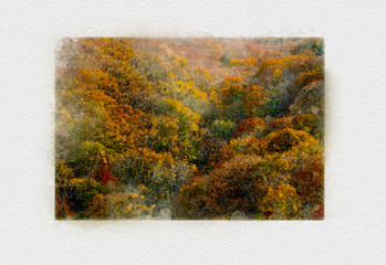 日本の紅葉の風景、赤く染まった秋の山、日本の秋の風景、カラフルな紅葉で染まった林