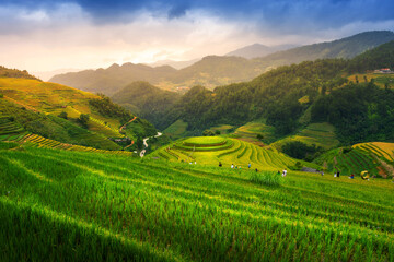 Fototapeta premium Aerial view of golden rice terraces at Mu cang chai town near Sapa city, north of Vietnam. Beautiful terraced rice field in harvest season in Yen Bai, Vietnam