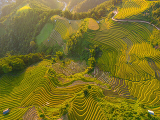 Aerial view of golden rice terraces at Mu cang chai town near Sapa city, north of Vietnam. Beautiful terraced rice field in harvest season in Yen Bai, Vietnam