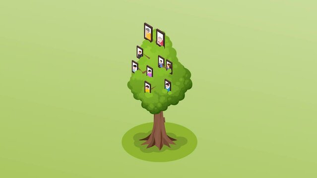 Green tree showing genealogical of three generation