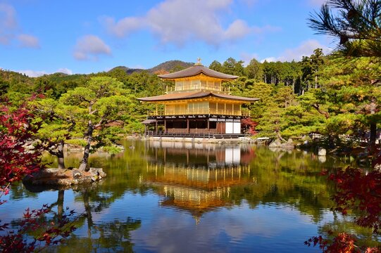 金閣寺」の写真素材 | 278件の無料イラスト画像 | Adobe Stock