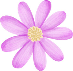 Fototapeta premium digital watercolor clipart pastel flower 