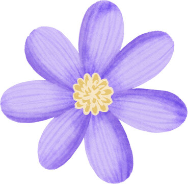 pastel flower digital watercolor clipart