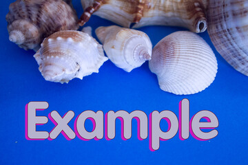 Animal Shell, Summer vacation, marine background with Example text.