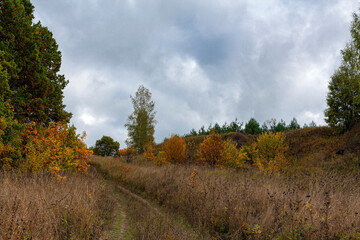 Fototapeta na wymiar Autumn forest road goes into the blue sky.
