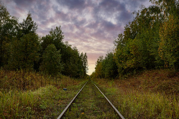 Obraz premium Autumn forest railway looking towards the sunrise
