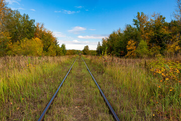 Autumn forest railway goes into the blue sky.