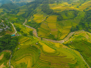 Aerial view of golden rice terraces at Mu cang chai town near Sapa city, north of Vietnam....