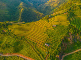 Fototapeta premium Aerial view of golden rice terraces at Mu cang chai town near Sapa city, north of Vietnam. Beautiful terraced rice field in harvest season in Yen Bai, Vietnam