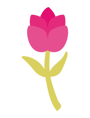 flower isolated icon