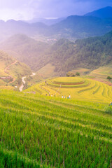 Fototapeta na wymiar Aerial view of golden rice terraces at Mu cang chai town near Sapa city, north of Vietnam. Beautiful terraced rice field in harvest season in Yen Bai, Vietnam