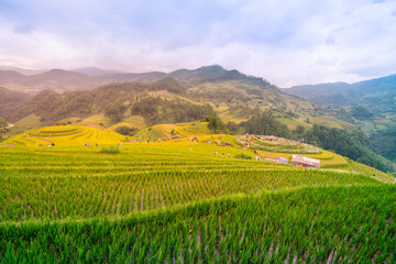 Obraz premium Aerial view of golden rice terraces at Mu cang chai town near Sapa city, north of Vietnam. Beautiful terraced rice field in harvest season in Yen Bai, Vietnam
