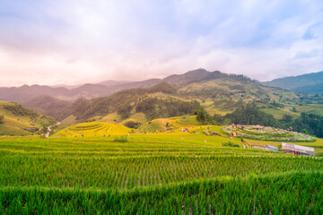 Aerial view of golden rice terraces at Mu cang chai town near Sapa city, north of Vietnam. Beautiful terraced rice field in harvest season in Yen Bai, Vietnam