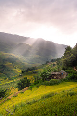 Obraz premium Aerial view of golden rice terraces at Mu cang chai town near Sapa city, north of Vietnam. Beautiful terraced rice field in harvest season in Yen Bai, Vietnam