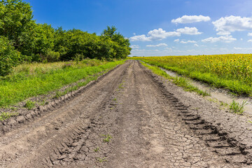 summer, dirt road along the forest and fields with sunflowers.