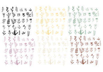 watercolor and line flower element decoration. templates floweras