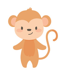 monkey cute animal