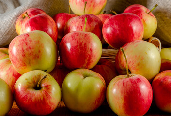 Fototapeta na wymiar Ripe yellow-red apples.