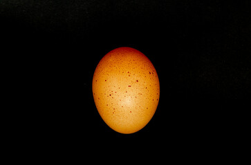 A brown egg on a black background.