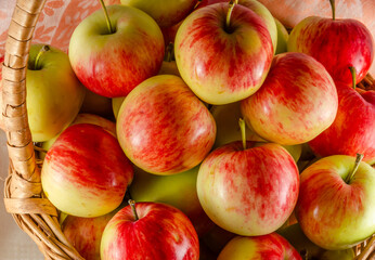 Ripe red and yellow apples in large quantities.