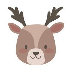 deer face cute animal