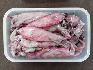 small red squid in a plastic container for sale in the market