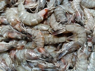 Fresh shrimp in plastic containers for sale in the market