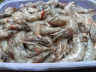 Fresh shrimp in plastic containers for sale in the market